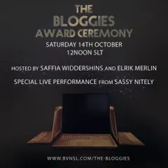 Announcing the 2017 BVN Blogger and Vlogger Award Winners!